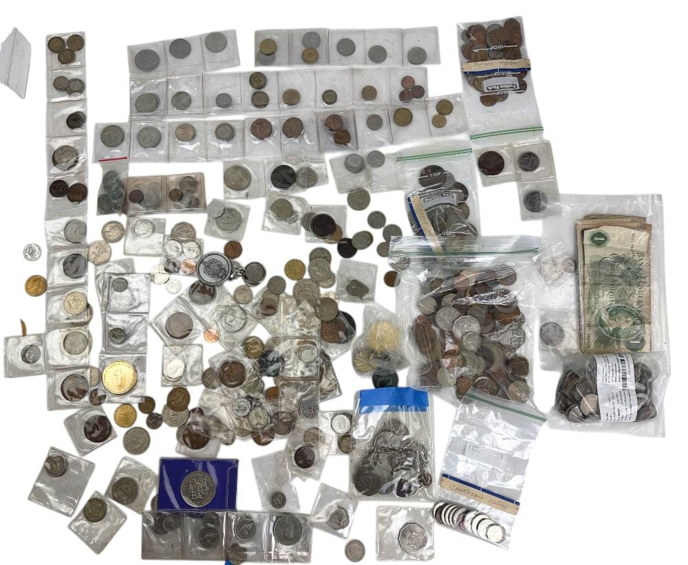 Assorted foreign coins in plastic sleeves and baggies arranged on a white background.
