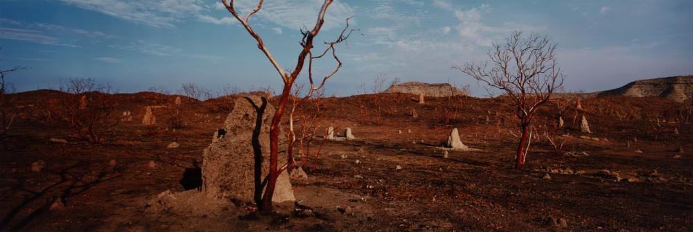 Wim Wenders comparable auction result: wim wenders 1945 after a fire kimberleys west australia 1988