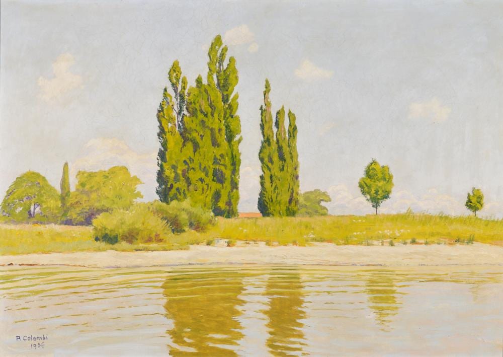 Plinio Colombi comparable auction result: plinio colombi 1873 1951