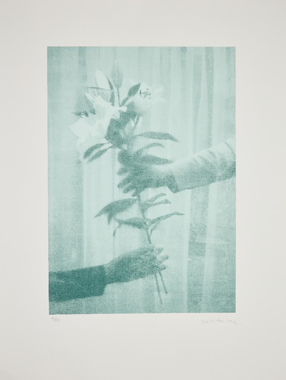 Paul Winstanley comparable auction result: paul winstanley lilies from the help portfolio 2020