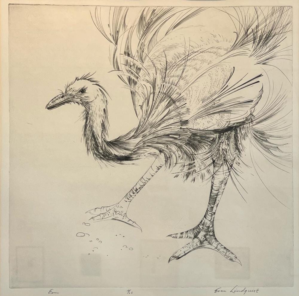 Evan Lindquist comparable auction result: evan lindquist emu