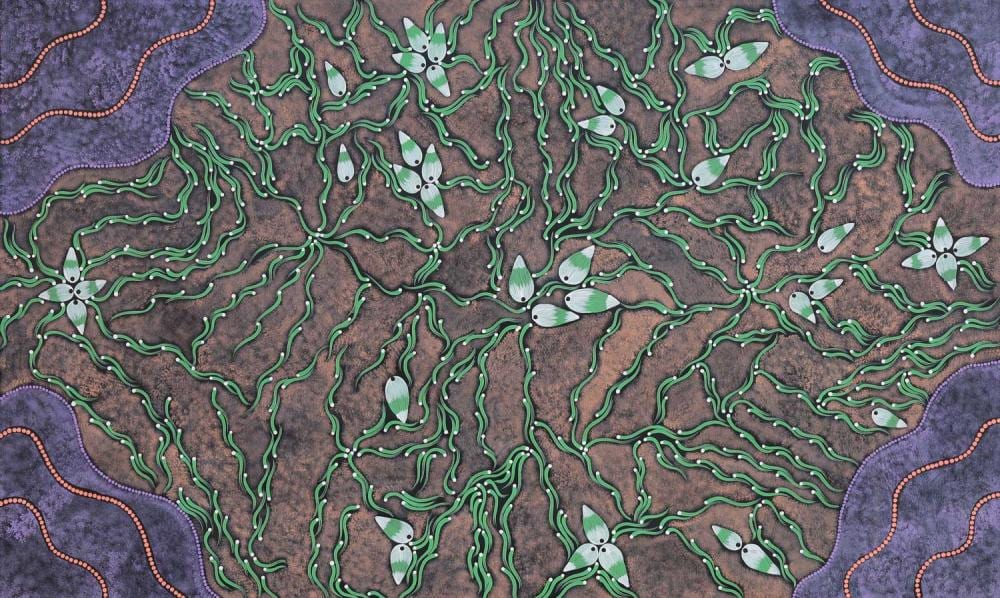 Leanne Nakamarra Oldfield comparable auction result: leanne nakamarra oldfield wild bush banana dreaming acrylic on linen 110cm x 180cm