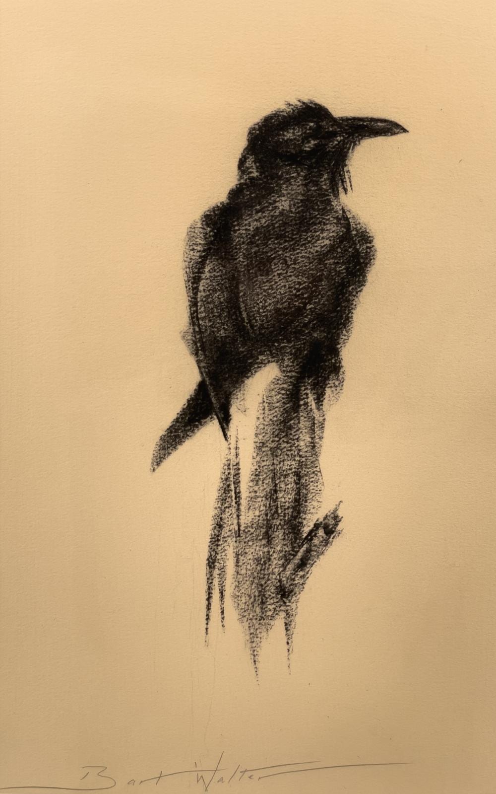 Bart Walter comparable auction result: bart walter raven i charcoal on paper