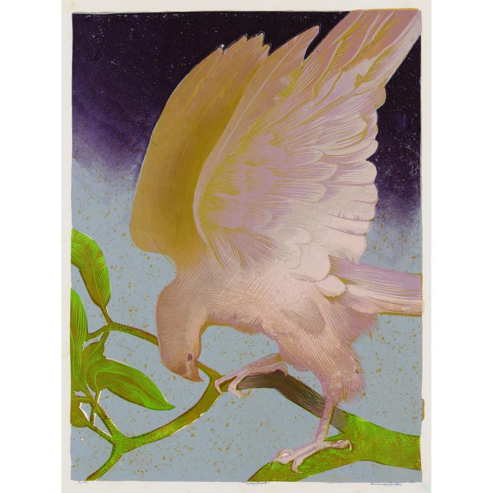 murray griffin 1903 1992 grey hawk 1974 linocut ed 8 27 45 5 x 34cm image 64 5 x 49cm frame · Leonard Joel · 2025-04-16 Murray Griffin comparable auction result: murray griffin 1903 1992 grey hawk 1974 linocut ed 8 27 45 5 x 34cm image 64 5 x 49cm frame