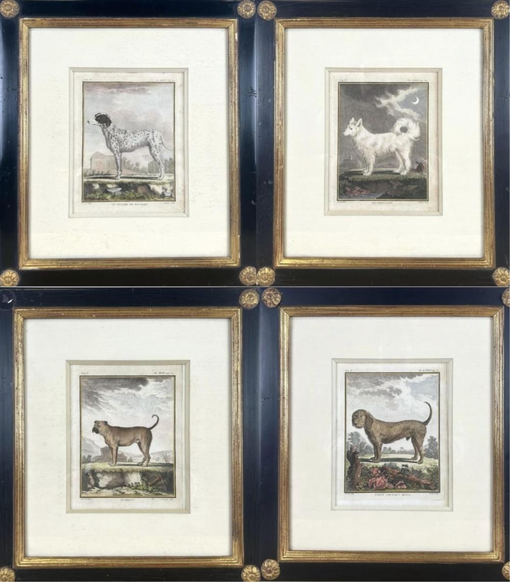 jacques eustache de seve france 1742 1788 set of four dog portraits colored copperplate prints each 8 x 6 5 framed 18 x 16 · Sandwich Auction House · 2025-04-16 Jacques Eustache de Seve comparable auction result: jacques eustache de seve france 1742 1788 set of four dog portraits colored copperplate prints each 8 x 6 5 framed 18 x 16
