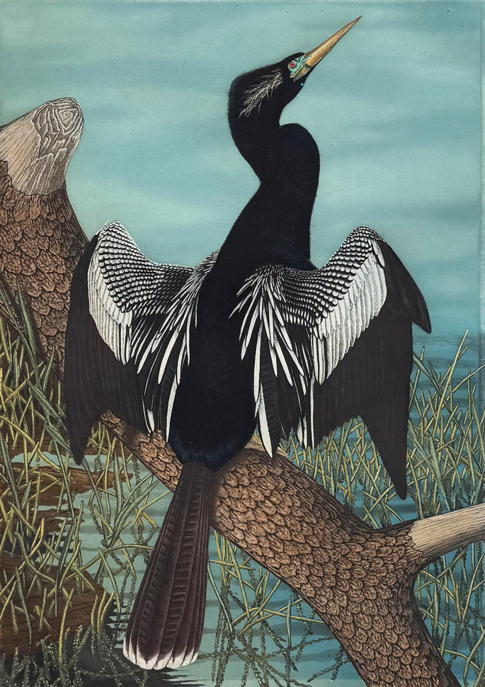 John Costin comparable auction result: john costin etching anhinga