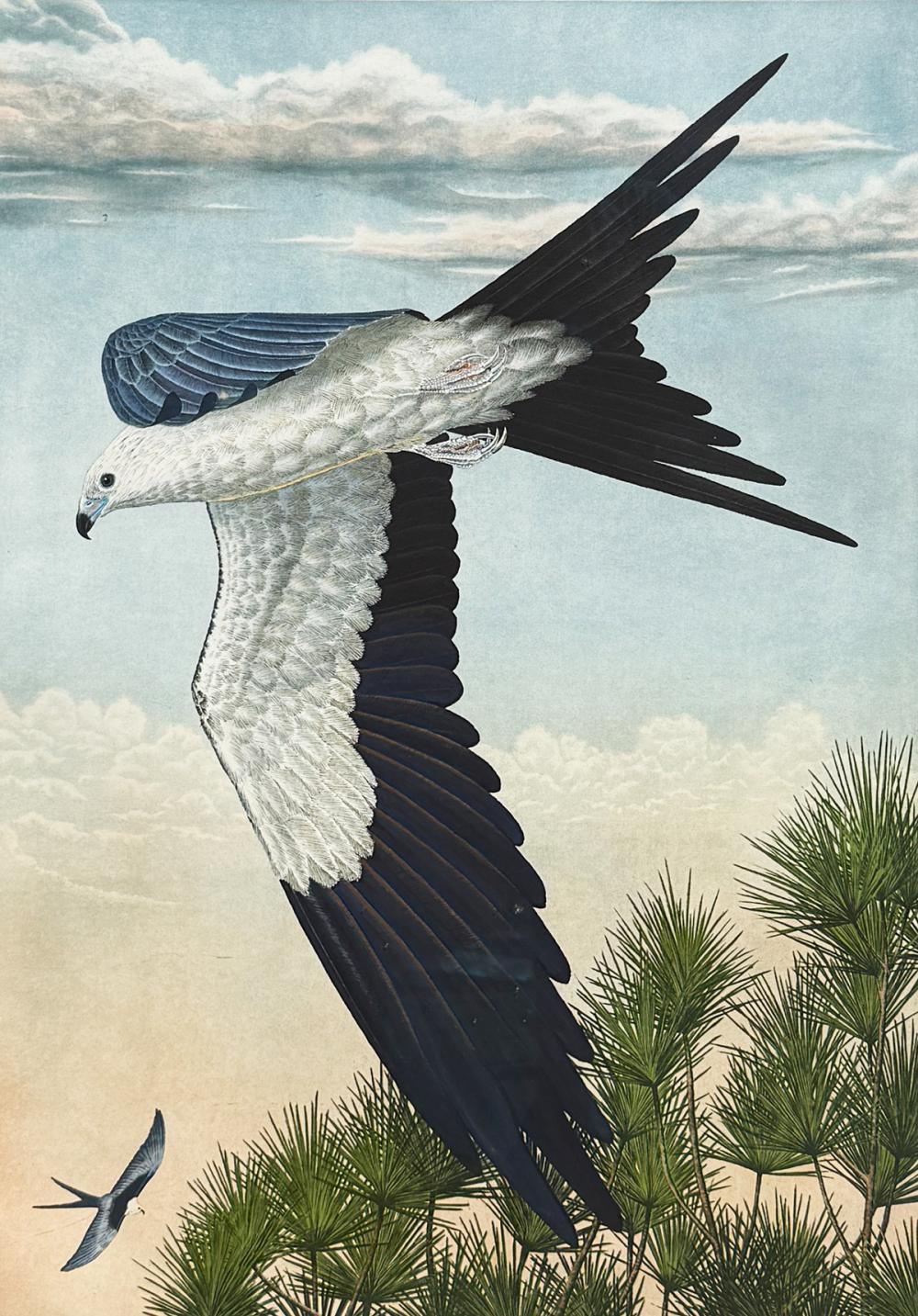John Costin comparable auction result: john costin etching swallowtail kite