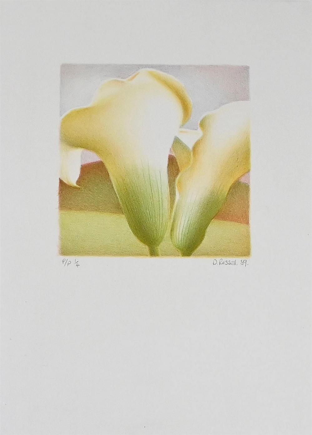 Deborah Russell comparable auction result: deborah russell lily i 1989