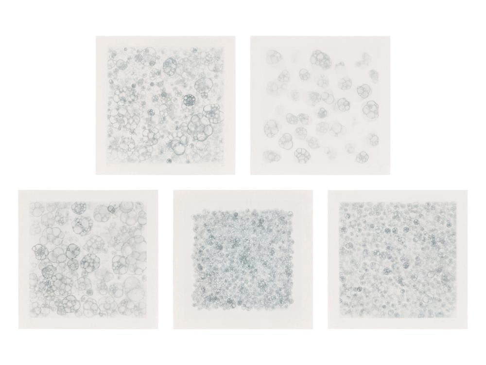Tara Donovan comparable auction result: tara donovan american b 1969 untitled 1 v complete set of 5 2004