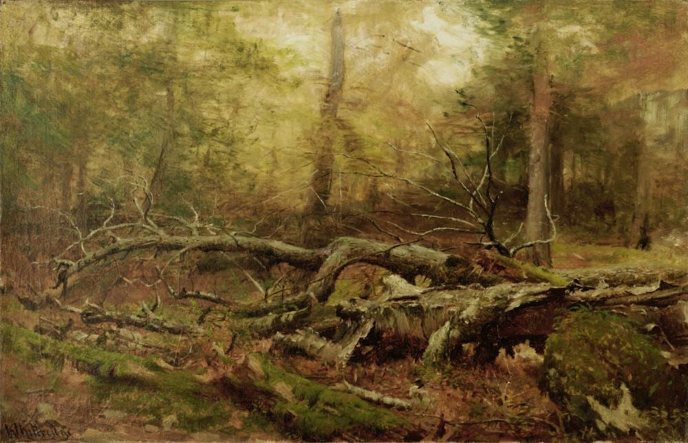 worthington whittredge 1820 1910 study in the forest 15 1 4 x 23 1 4 in 38 7 x 59 cm · Bonhams · 2025-04-30 Worthington Whittredge comparable auction result: worthington whittredge 1820 1910 study in the forest 15 1 4 x 23 1 4 in 38 7 x 59 cm