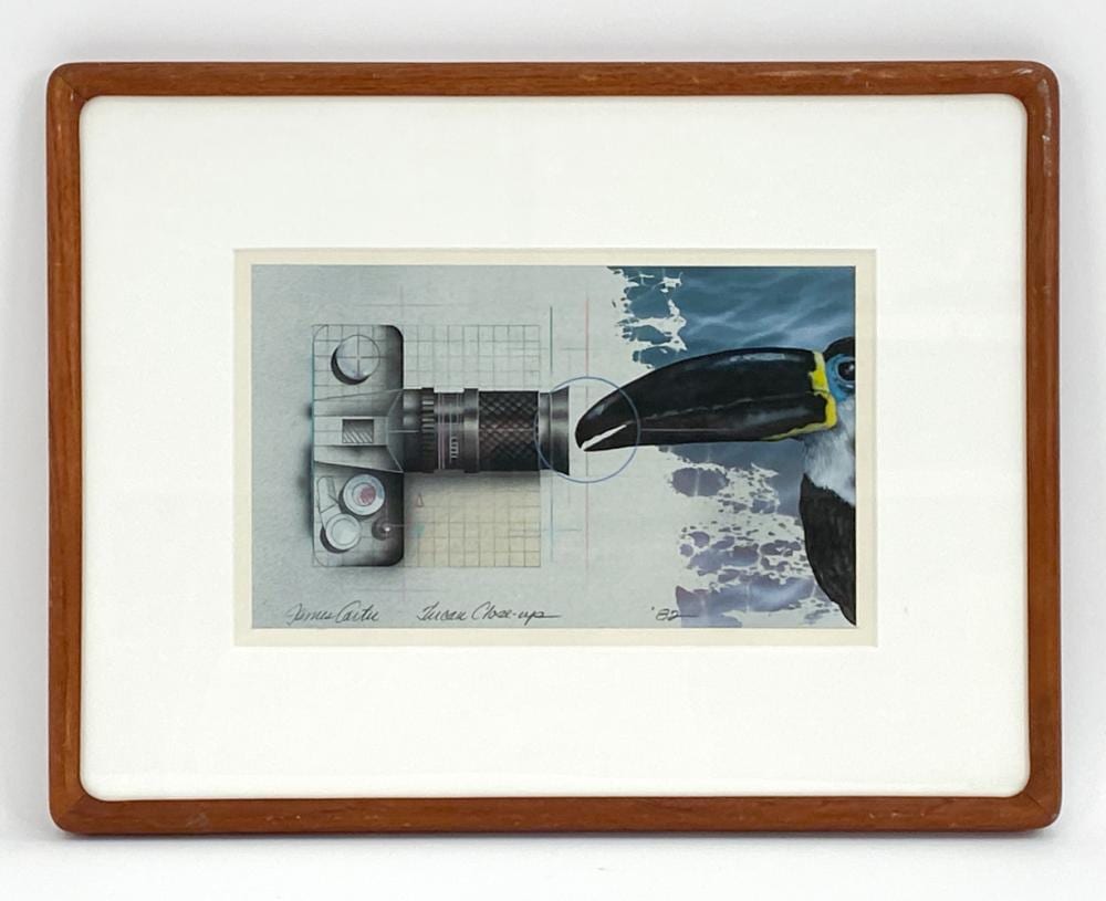 James Carter comparable auction result: james carter b 1948 tucan close up