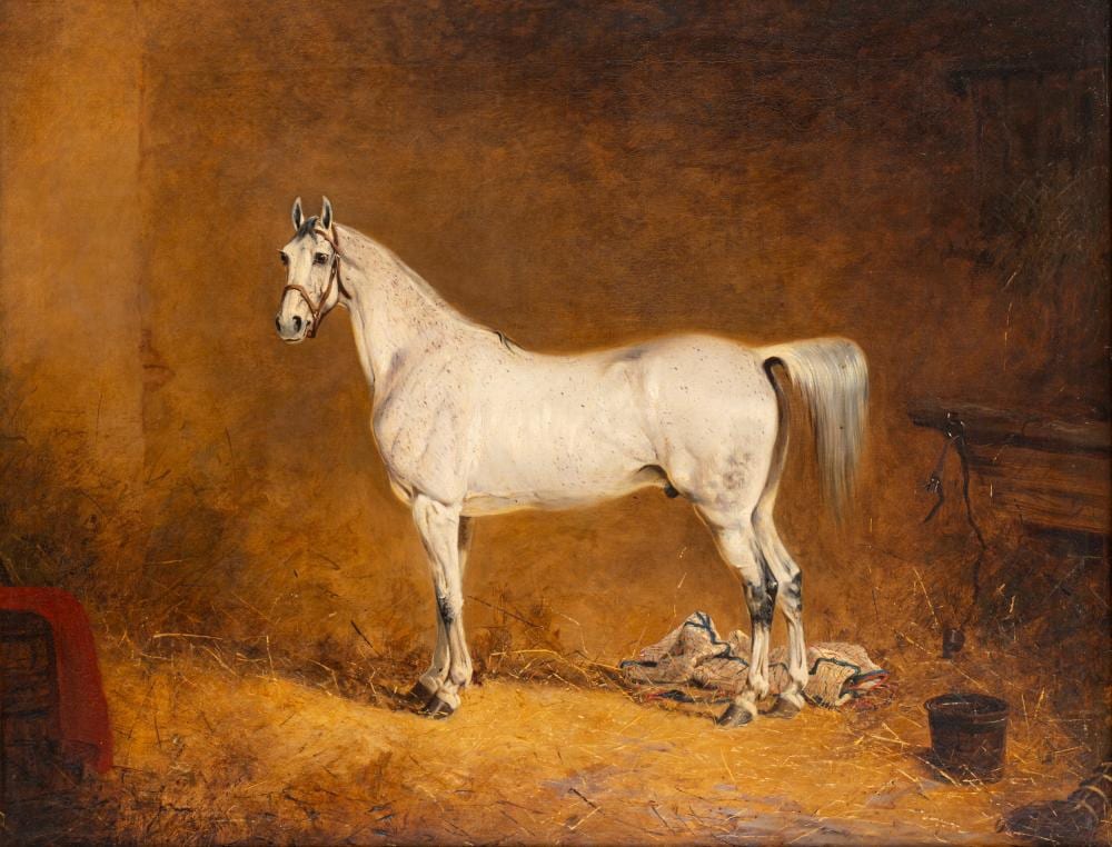 Henry Calvert comparable auction result: henry calvert darlton 1798 southport 1868 white horse in the stable 1848
