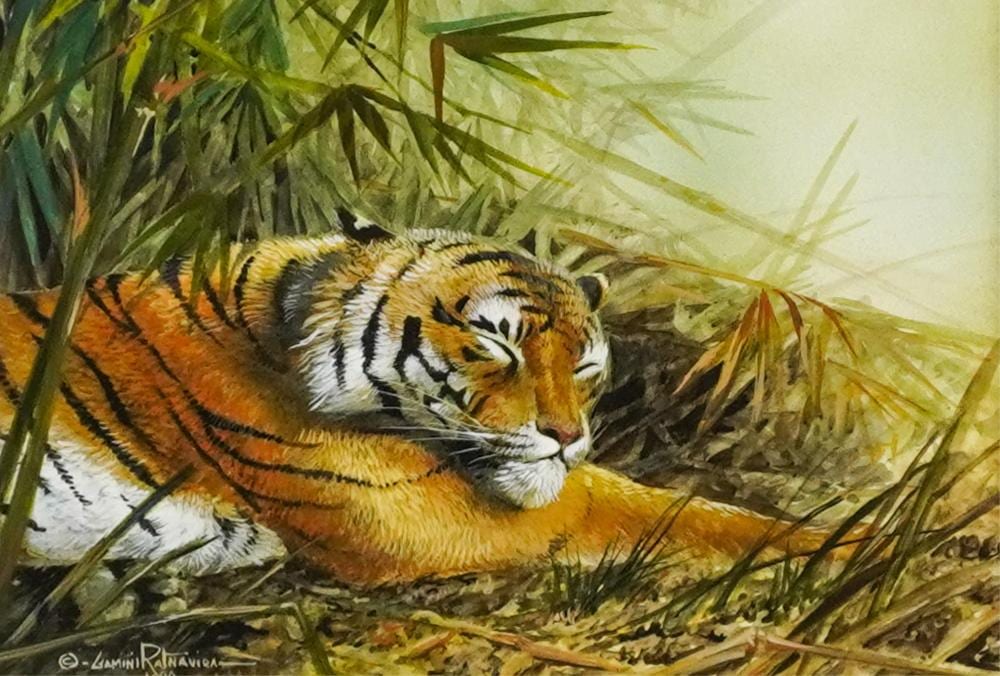 gamini ratnavira sri lankan b 1949 sleeping tiger 1999 watercolor and gouache on board frame 11 x 13 in 27 9 x 33 cm · Weschler's · 2025-04-29 Gamini Ratnavira comparable auction result: gamini ratnavira sri lankan b 1949 sleeping tiger 1999 watercolor and gouache on board frame 11 x 13 in 27 9 x 33 cm