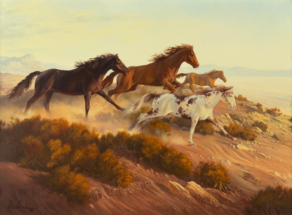 Fred Lucas comparable auction result: fred lucas 1946 2011 wild horses