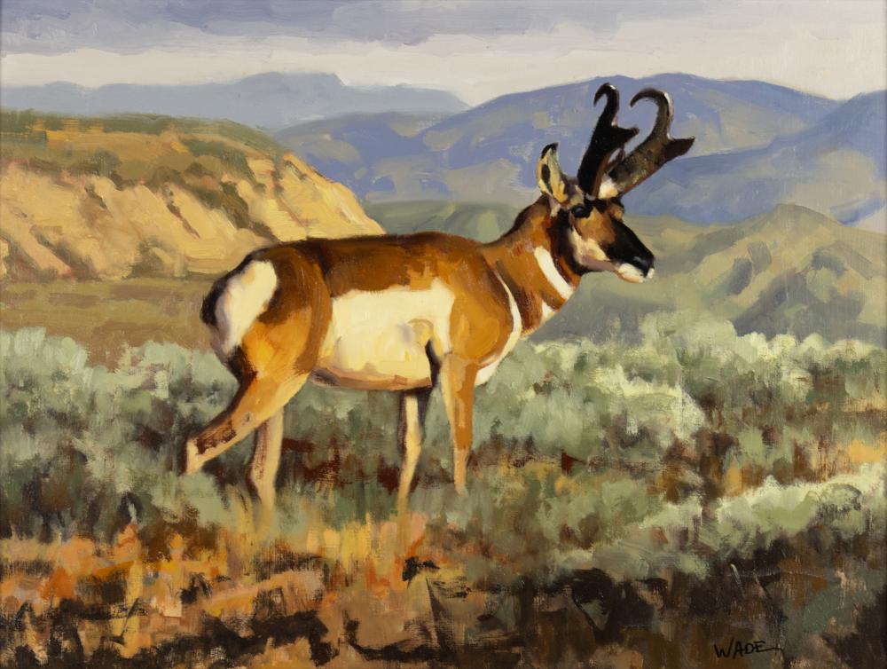 David Wade comparable auction result: david charles wade 1952 2019 sagebrush dandy