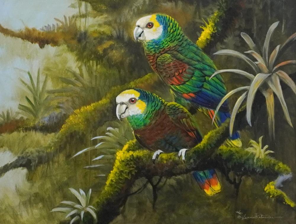 gamini ratnavira sri lankan b 1949 two parrots watercolor and gouache on board frame 15 1 2 x 18 1 2 in 39 4 x 47 cm · Weschler's · 2025-05-06 Gamini Ratnavira comparable auction result: gamini ratnavira sri lankan b 1949 two parrots watercolor and gouache on board frame 15 1 2 x 18 1 2 in 39 4 x 47 cm