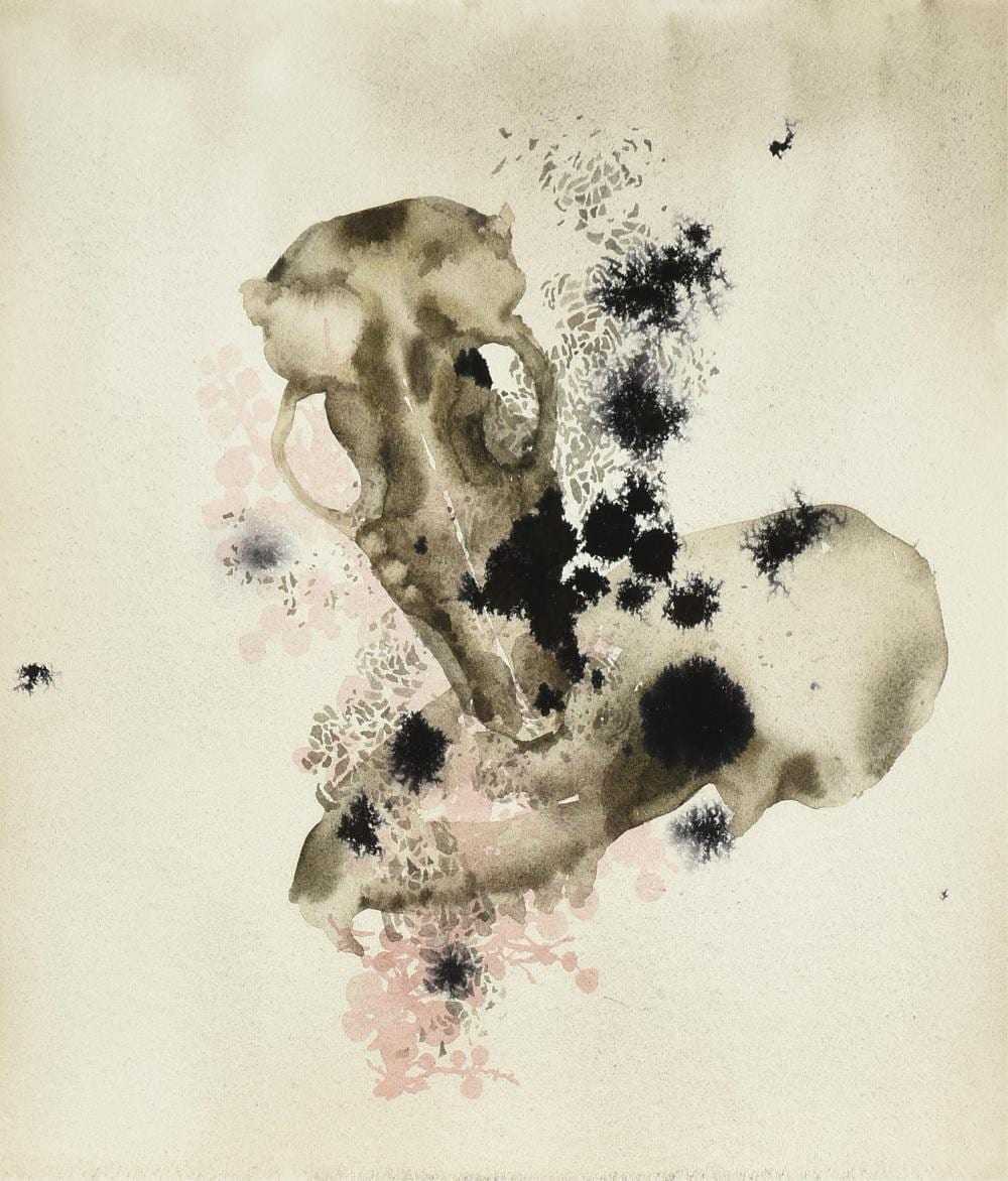 Darren Waterston comparable auction result: darren waterston american b 1965 fox skull study 2010 12 x 10 1 2 in 30 5 x 26 7 cm frame 14 1 2 x 13 in 36 8 x 33 cm