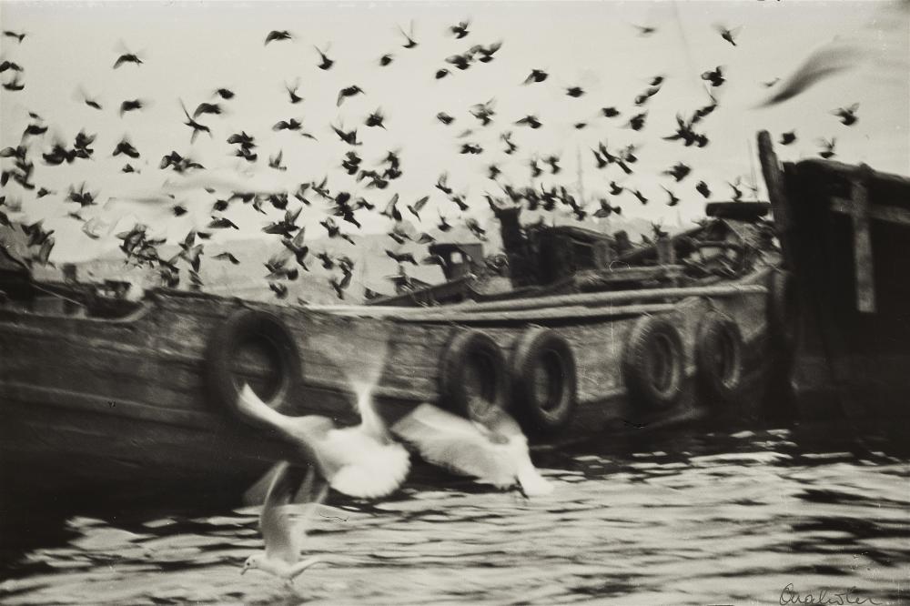 Ara Güler comparable auction result: ara g ler istanbul 1954