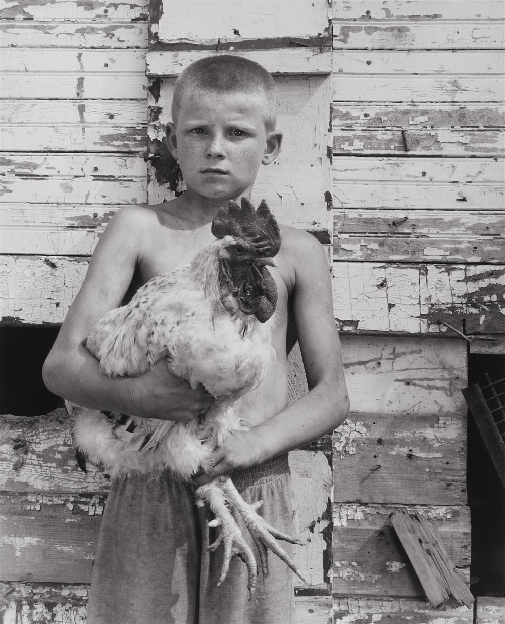 Shelby Lee Adams comparable auction result: shelby lee adams erik with spike the rooster 2001