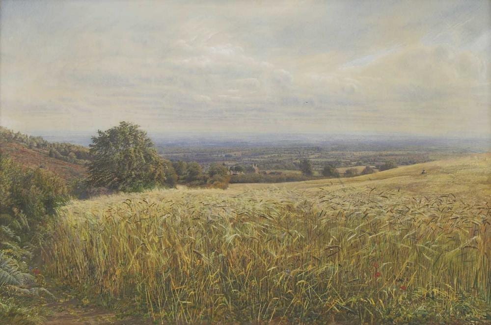Edmund George Warren comparable auction result: edmund george warren 1834 1909