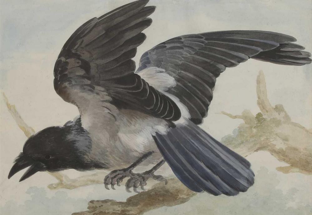 Aert Schouman comparable auction result: aert schouman dutch 1710 1792