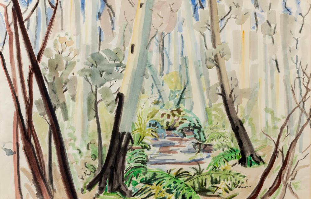 Constance Richardson comparable auction result: constance coleman 1903 1990 gully launching place 1982 watercolour signed lower right coleman 35 x 54cm 55 x 72cm overall