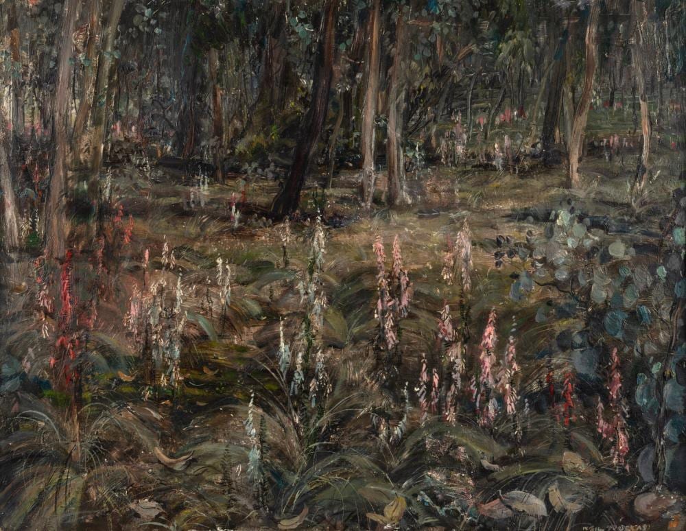 Neil Douglas comparable auction result: neil douglas 1911 2003 yarrumbat heaths oil on board signed lower right neil douglas 51 x 65cm 59 x 75cm overall