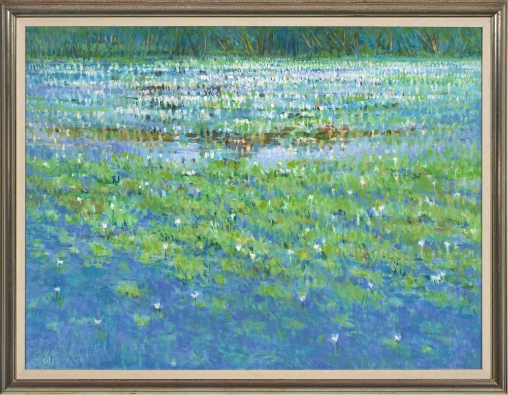Peter Laverty comparable auction result: peter laverty nymphea at yellow waters oil on masonite 90 x 122 frame size 98 x 126cm