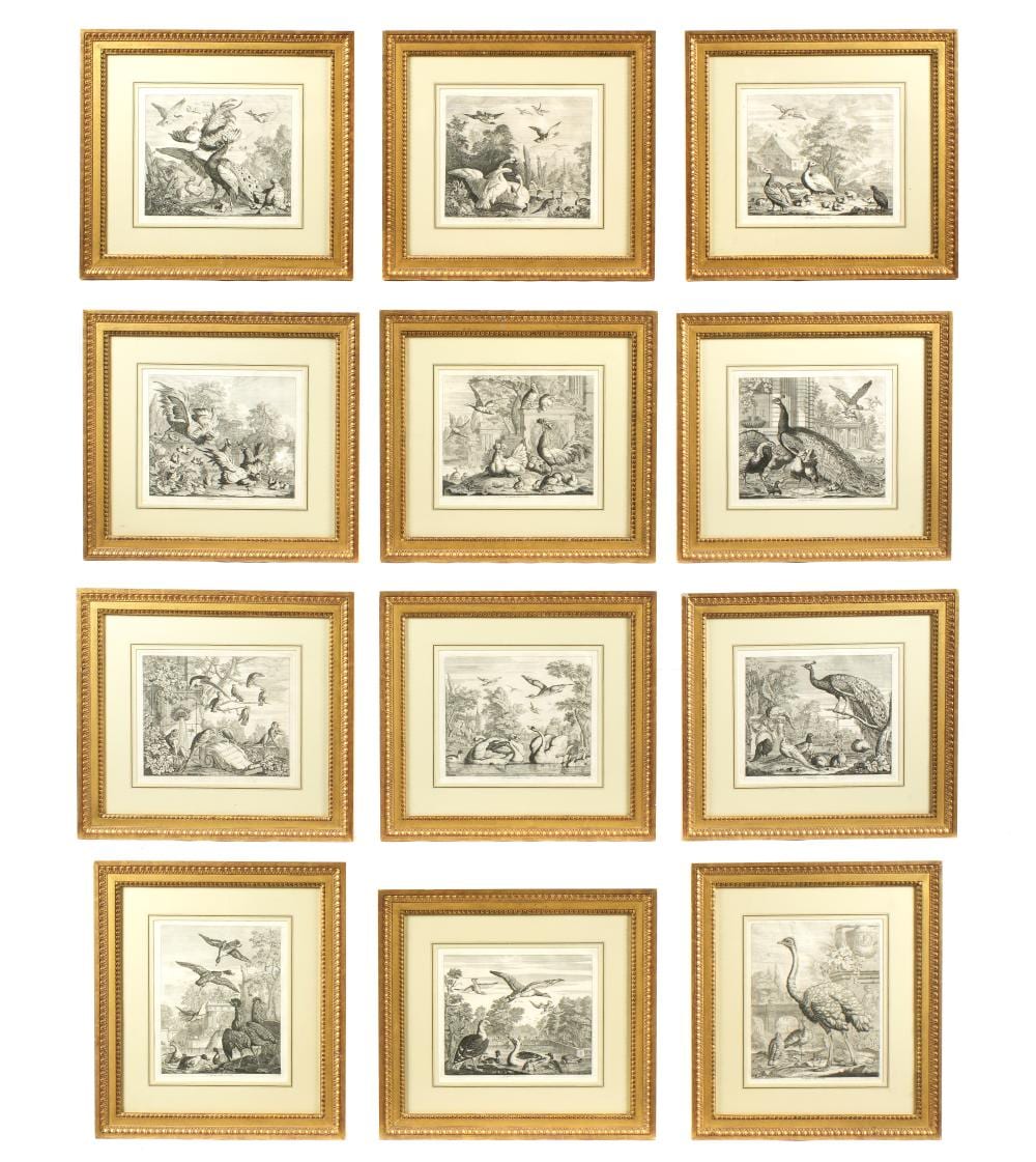 pieter casteels iii 12 studies of birds etchings · Amero Auctions · 2025-06-01 Pieter Casteels III comparable auction result: pieter casteels iii 12 studies of birds etchings