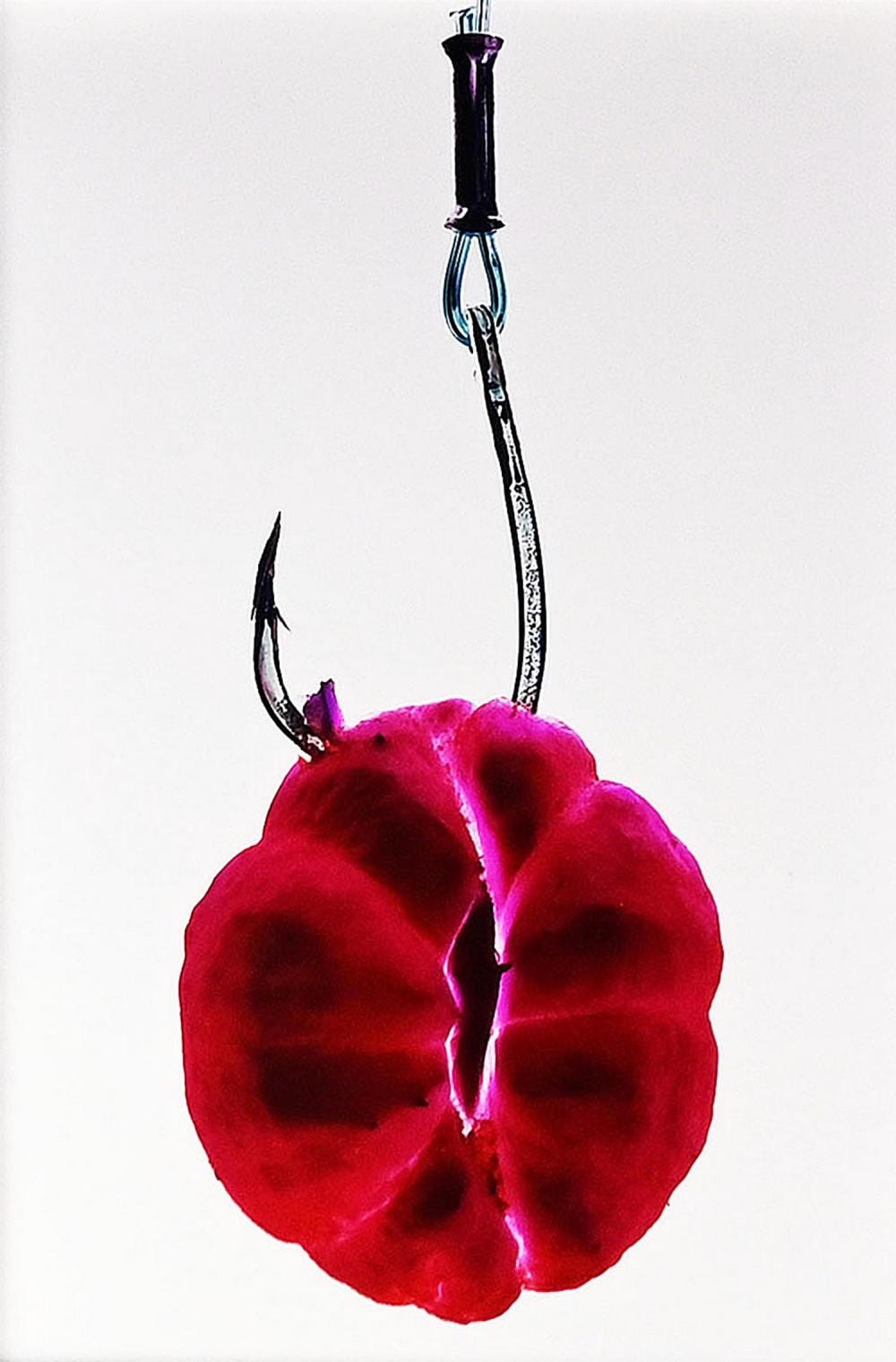 Renato Grome comparable auction result: renato grome born 1954 desire 1995 from the seduce series c type analog photograph ed 5 25 53 x 39cm 74 x 60 x 9 5cm frame