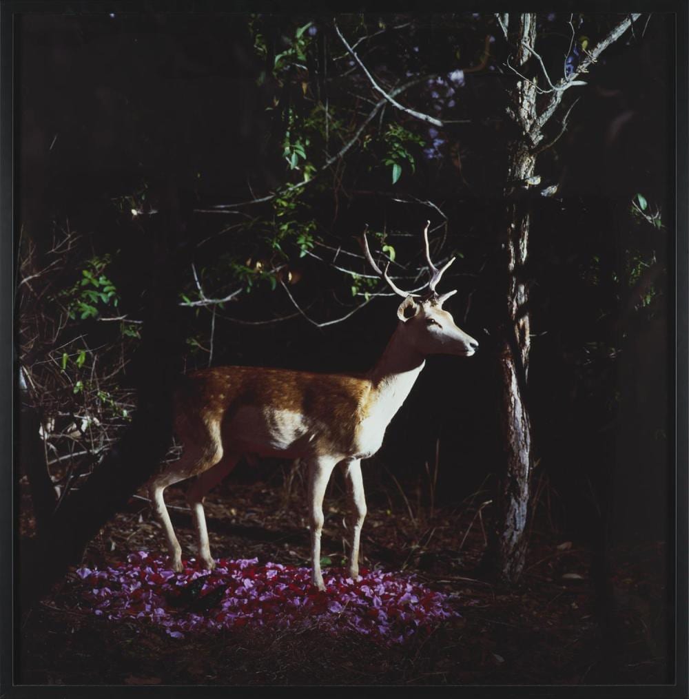 Sharon Green comparable auction result: sharon green born 1977 and there she waited c type print 102 x 101cm image sheet 106 x 104 5cm frame
