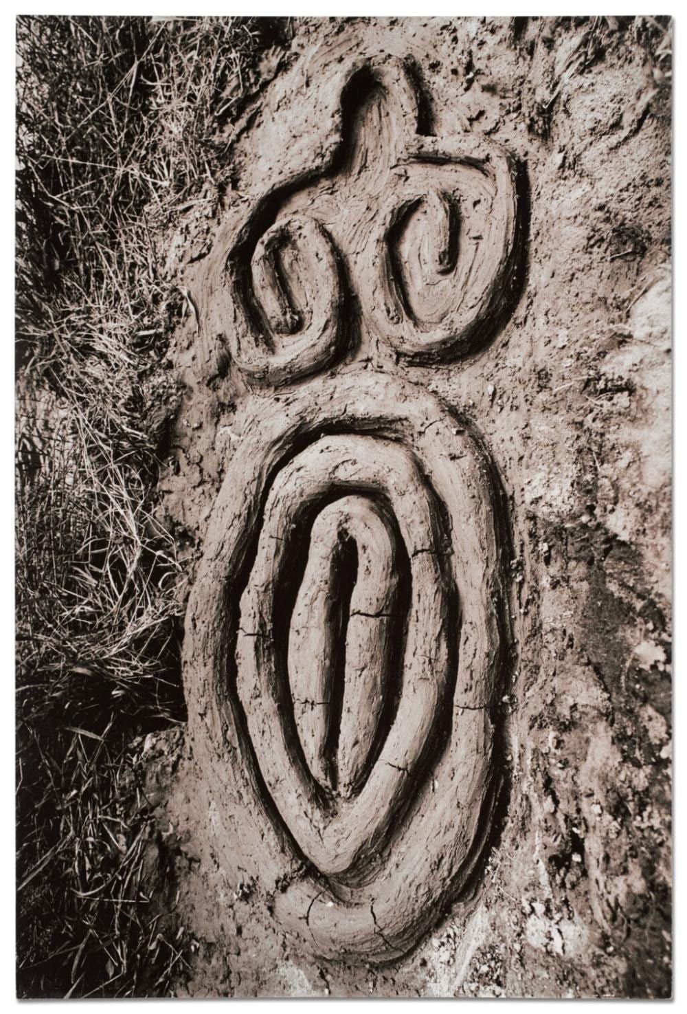 Ana Mendieta comparable auction result: la concha de venus