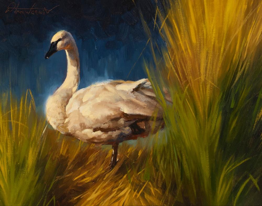 Dustin Van Wechel comparable auction result: dustin van wechel b 1974 goose in a stream