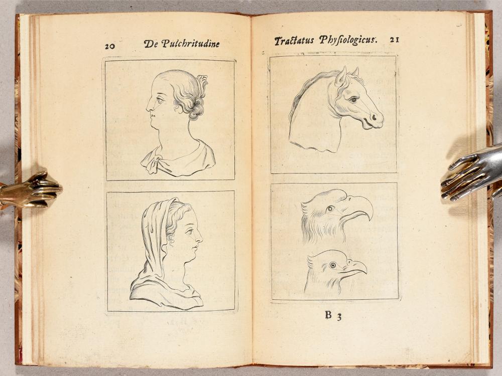 Otto van Veen comparable auction result: tractatus physiologicus de pulchritudine juxta ea quae de sponsa in canticis canticorum mystice pronunciantur