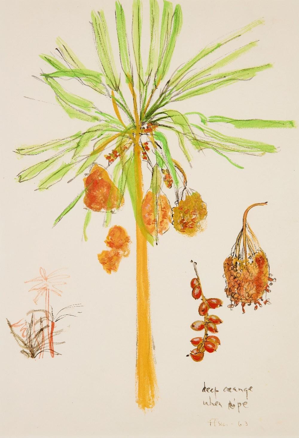 Fleur Cowles comparable auction result: fleur cowles deep orange when ripe 1963