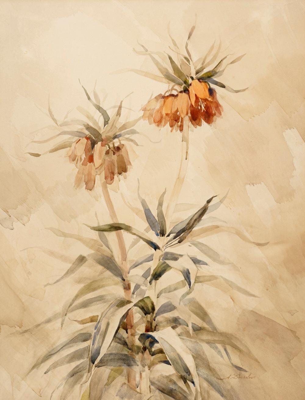 arno drescher schwertlilie kaiserkrone sonnenblumen stillleben mit blumentopf wohl 1930 s · Schmidt Kunstauktionen Dresden OHG · 2025-06-21 Arno Drescher comparable auction result: arno drescher schwertlilie kaiserkrone sonnenblumen stillleben mit blumentopf wohl 1930 s