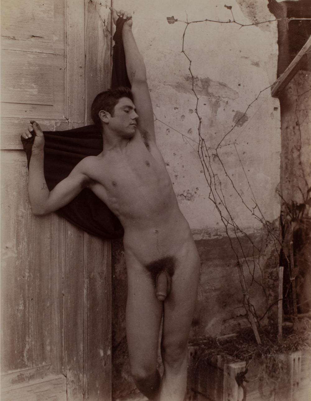 Pluschow Guglielmo comparable auction result: guglielmo pl schow 1852 1930 2 photographs standing nude with flowers standing nude with cloth