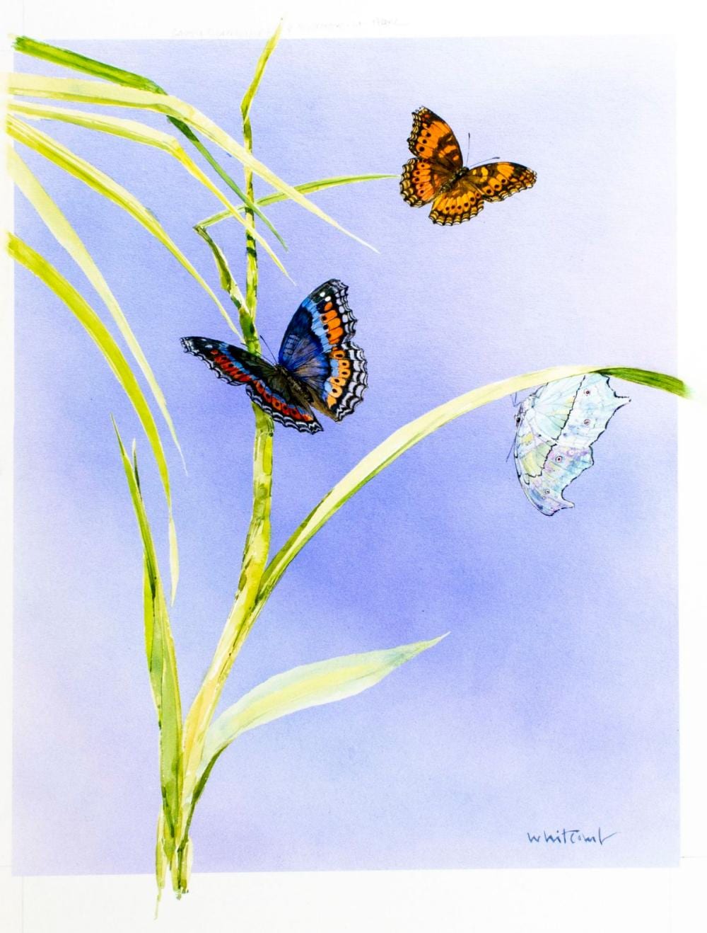 skip whitcomb co b 1946 watercolor painting · Broward Auction Gallery LLC · 2025-08-03 Skip Whitcomb comparable auction result: skip whitcomb co b 1946 watercolor painting