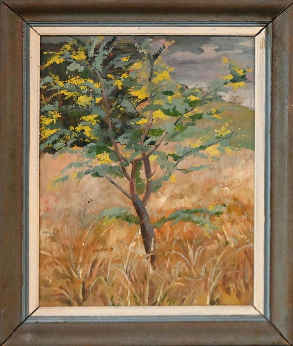 Frank Werther comparable auction result: frank werther a flowering wattle tree in a landscape 1959