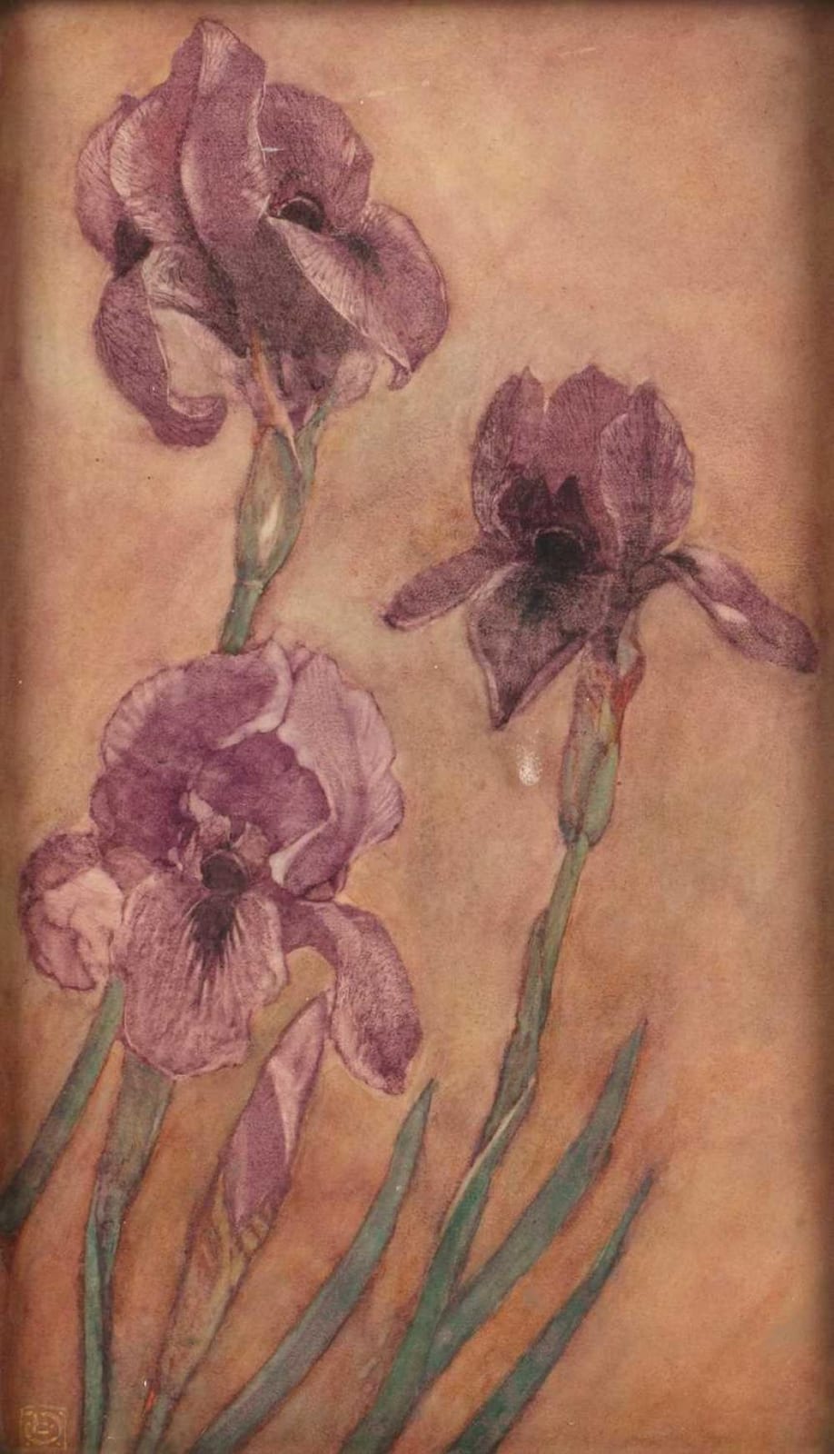 Louis Davis comparable auction result: louis davis 1860 1941 pink flowers signed with monogram lower left watercolour 42 x 24cm