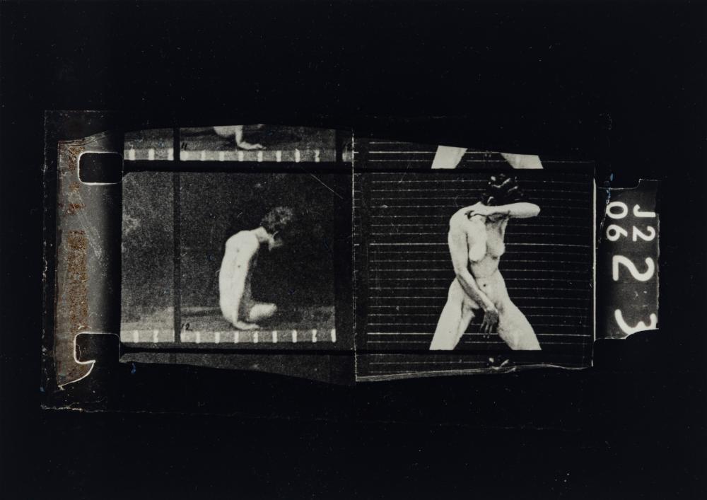 Paolo Gioli comparable auction result: paolo gioli 1942 2022 l assassino nudo muybridge 1984