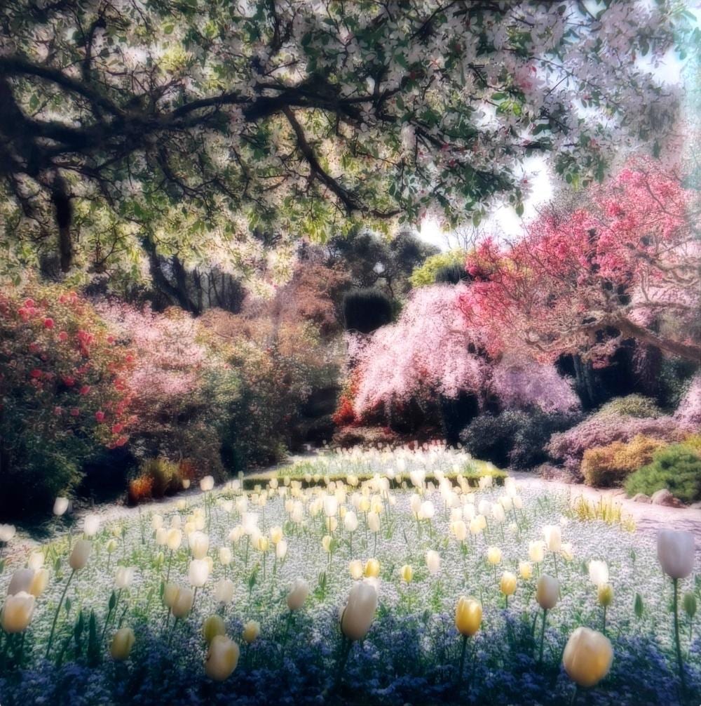 Lynn Geesaman comparable auction result: lynn geesaman filoli gardens color print