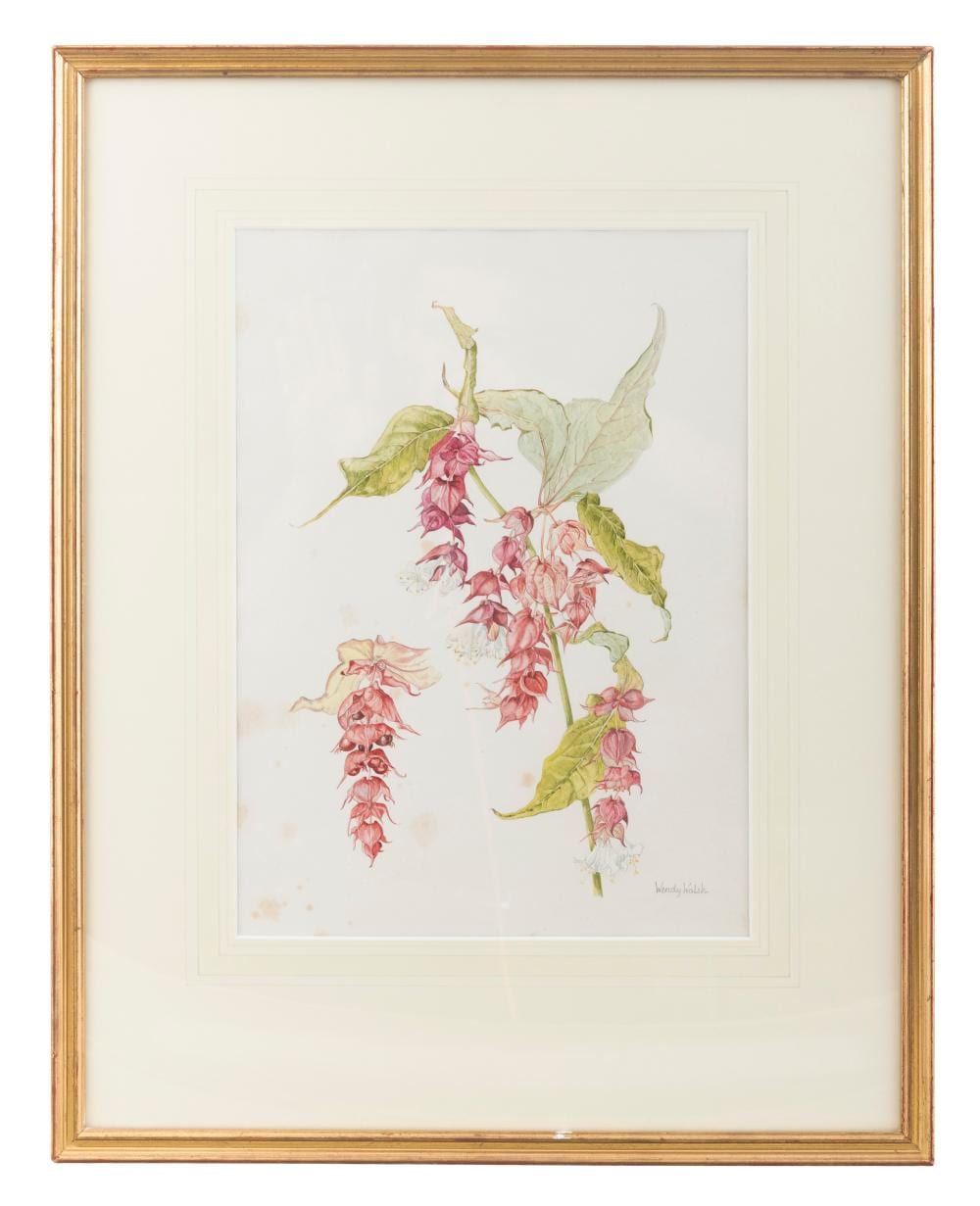 Wendy Walsh comparable auction result: wendy walsh 1915 2014 leycesteria formosa himalayan honeysuckle watercolour on paper 35 5 x 25 5cm signed inscribed with title verso
