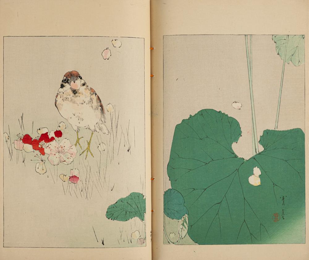 Shotei Watanabe comparable auction result: shotei watanabe