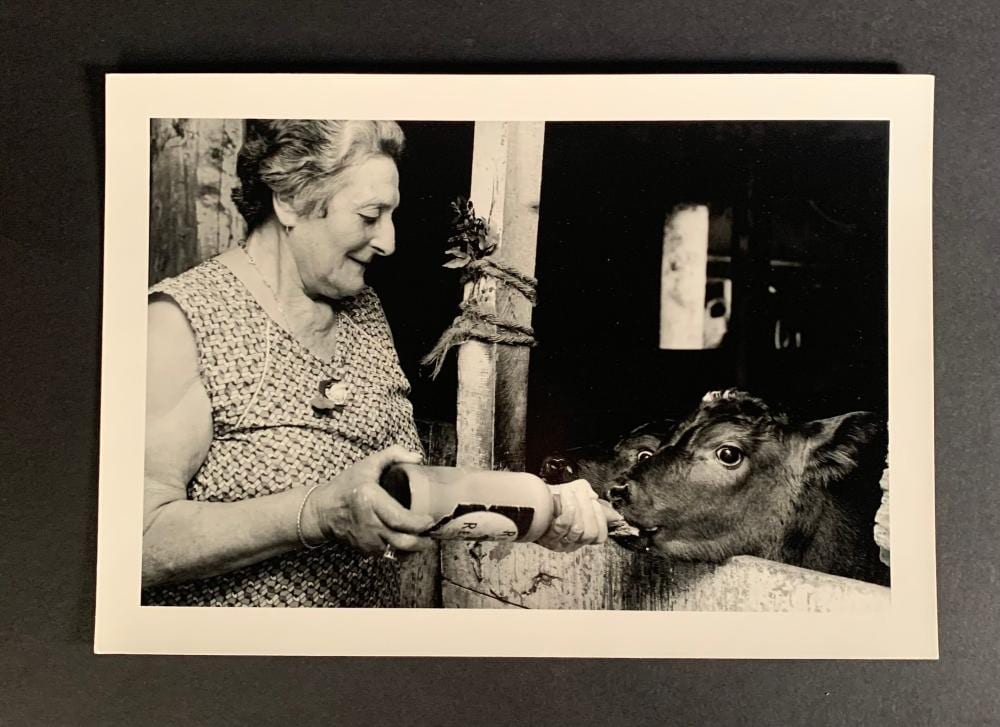 Sabine Weiss comparable auction result: sabine weiss 1924 2021 la t t e du veau madame demet ferme miquelet labrugui re tarn mai 1992