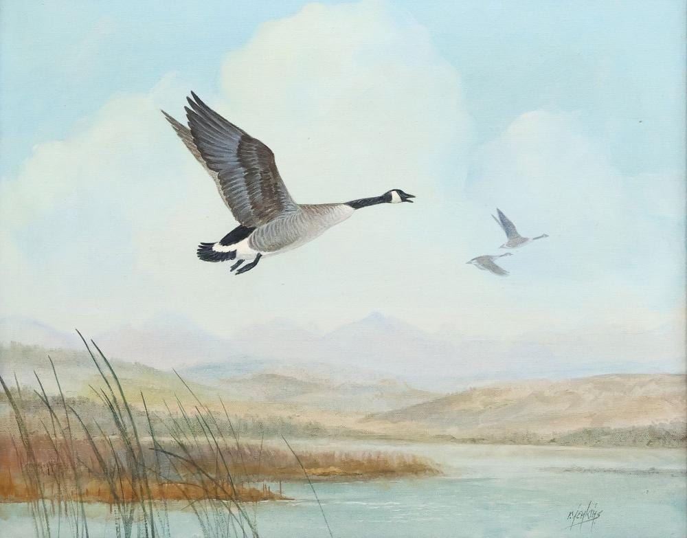 Ron Jenkins comparable auction result: ron jenkins b 1932 wildlife painting canada goose 16 x 20