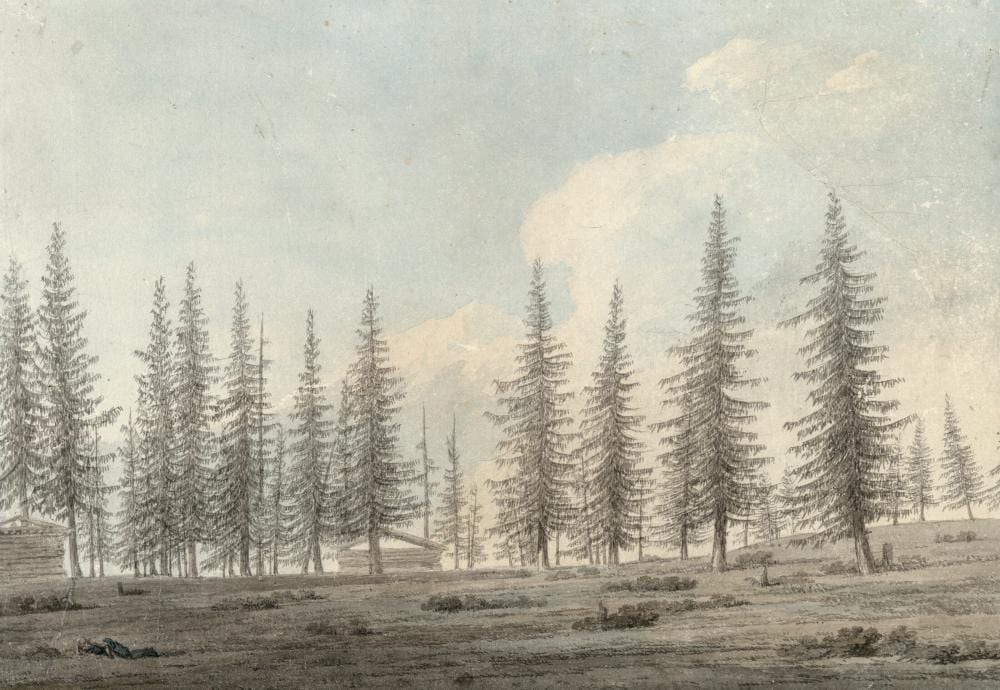 John Robert Cozens comparable auction result: john robert cozens london 1752 1799 in the tyrol pencil and watercolour