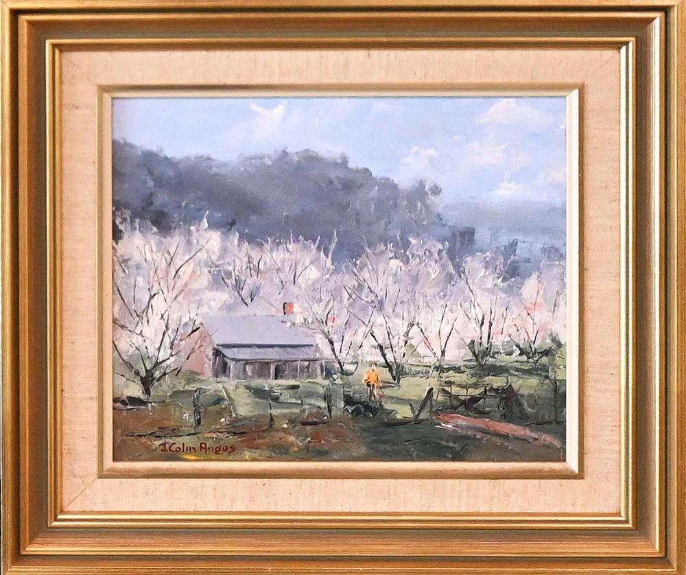 J. Colin Angus comparable auction result: j colin angus blossoming trees