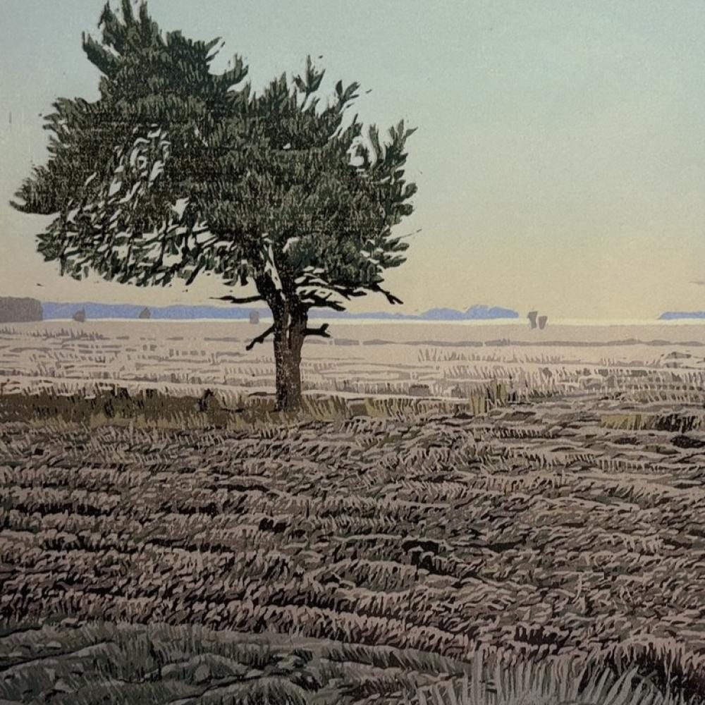 Siemen Dijkstra comparable auction result: siemen dijkstra 1968