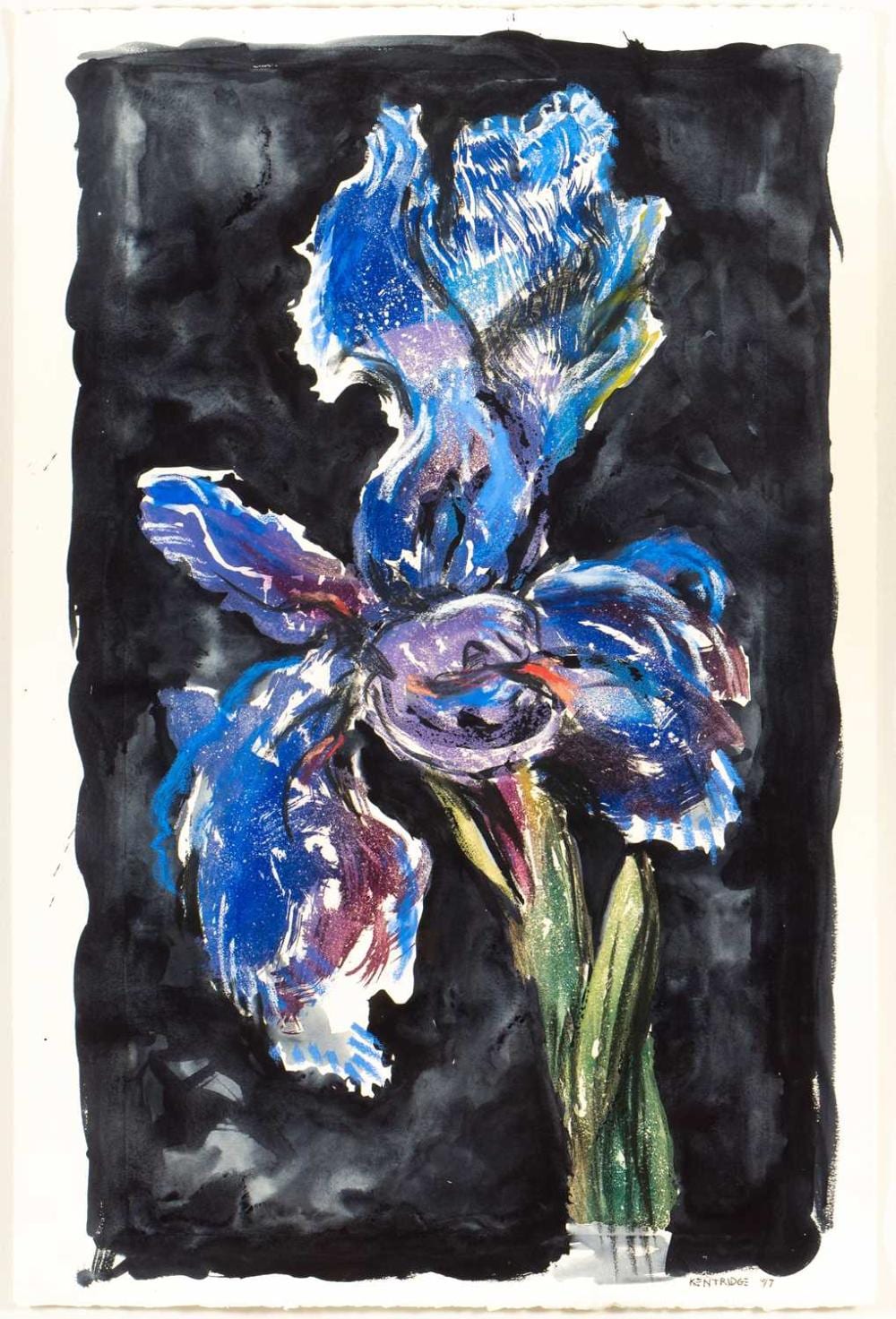 William Kentridge (South Africa 1955-) , Iris comparable sale